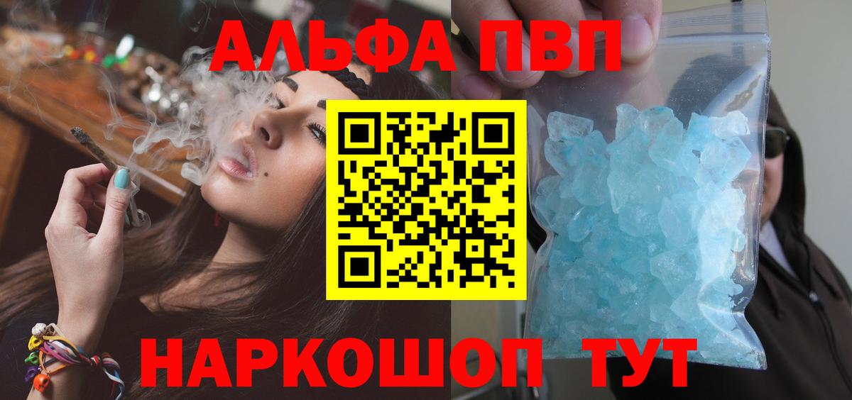 Альфа ПВП СК КРИС Гудермес