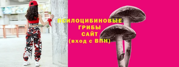 гидра Баксан