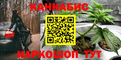 apvp Бузулук