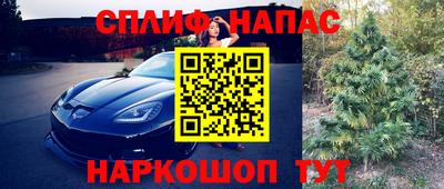 эйфоретик Бугуруслан