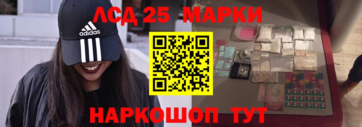 A PVP Гудермес