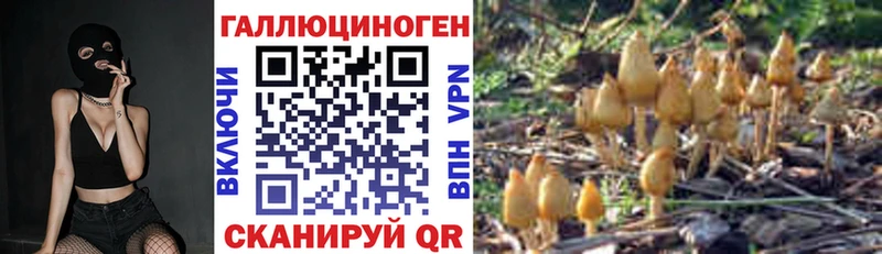 kraken ссылки  Гудермес  Галлюциногенные грибы GOLDEN TEACHER 