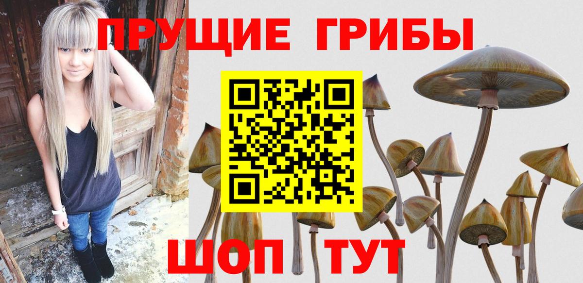 Псилоцибиновые грибы Psilocybe  Галлюциногенные грибы мухоморы  Гудермес 